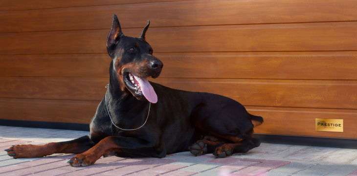 Улучшенная герметичность Улучшенная герметичность